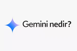 gemini nedir