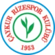 Çaykur Rizespor logosu