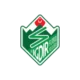Iğdır Fk logosu