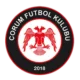 Çorum FK logosu
