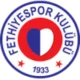 Fethiyespor logosu