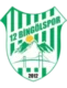 12 Bingölspor logosu