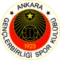 Gençlerbirliği logosu